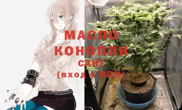 крисы Алзамай