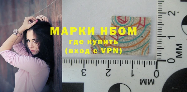 крисы Алзамай
