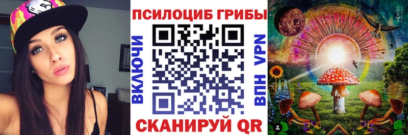 Галлюциногенные грибы Psilocybe  наркошоп  Уссурийск 